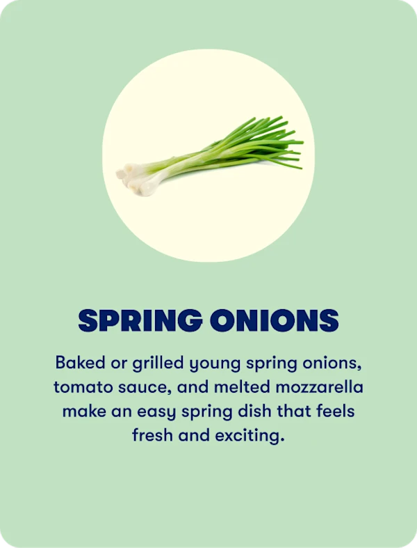 Spring onions (Spring)