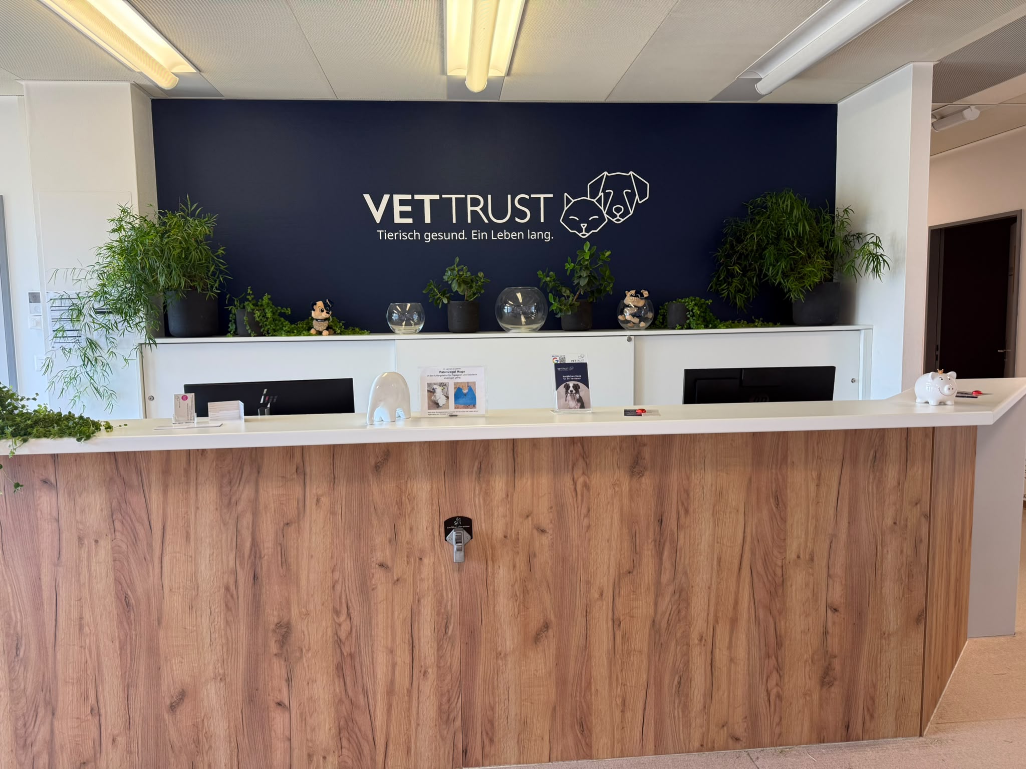 VetTrust Kleintierpraxis Winterthur im Zentrum