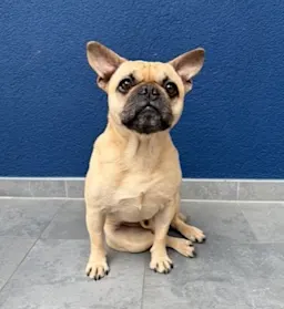 Employee Image