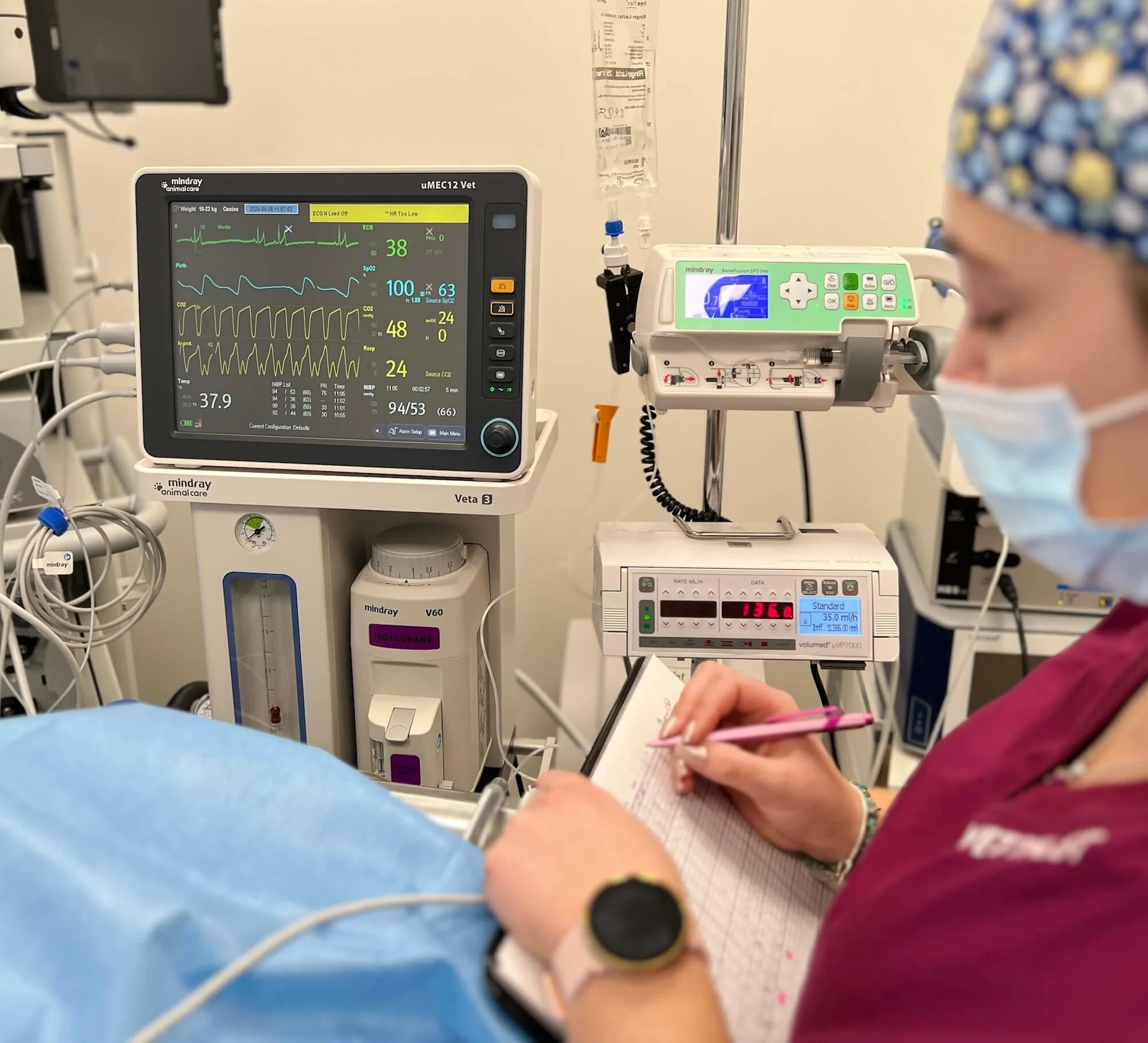 Anesthesia at the Veterinary Clinic Zurich East