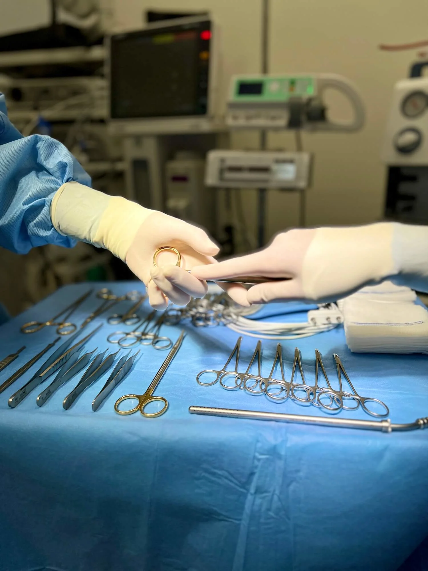 Soft tissue surgery at the Veterinary Clinic Zurich East