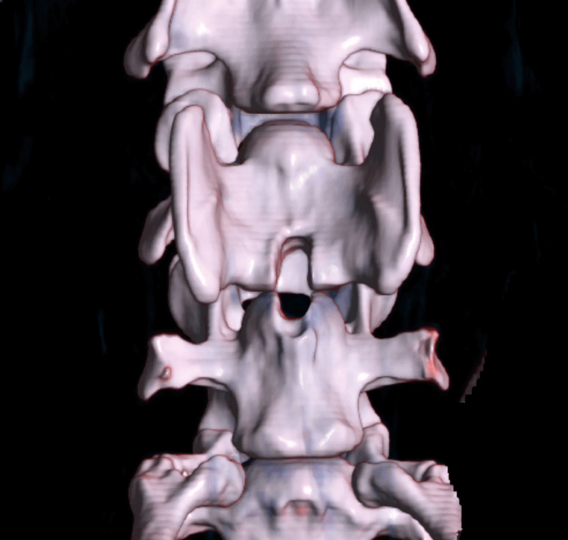 Neurology and neurosurgery at the Veterinary Clinic Zurich East