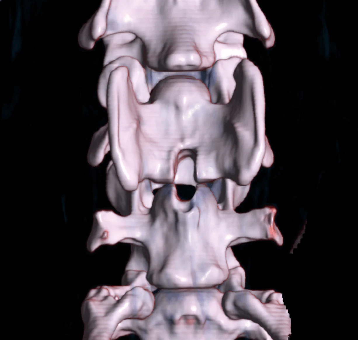 Neurology and neurosurgery at the Veterinary Clinic Zurich East