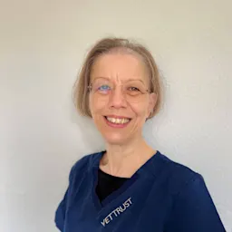 Portrait Dr. med. vet. Corinne Holsboer