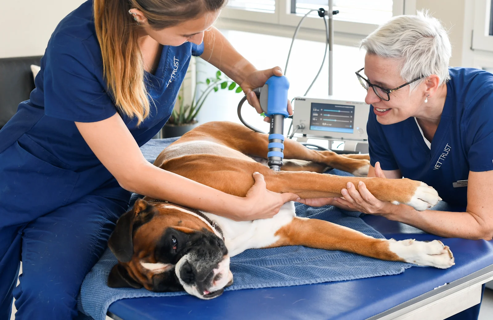 VetTrust Kleintierpraxis St. Gallen Ost