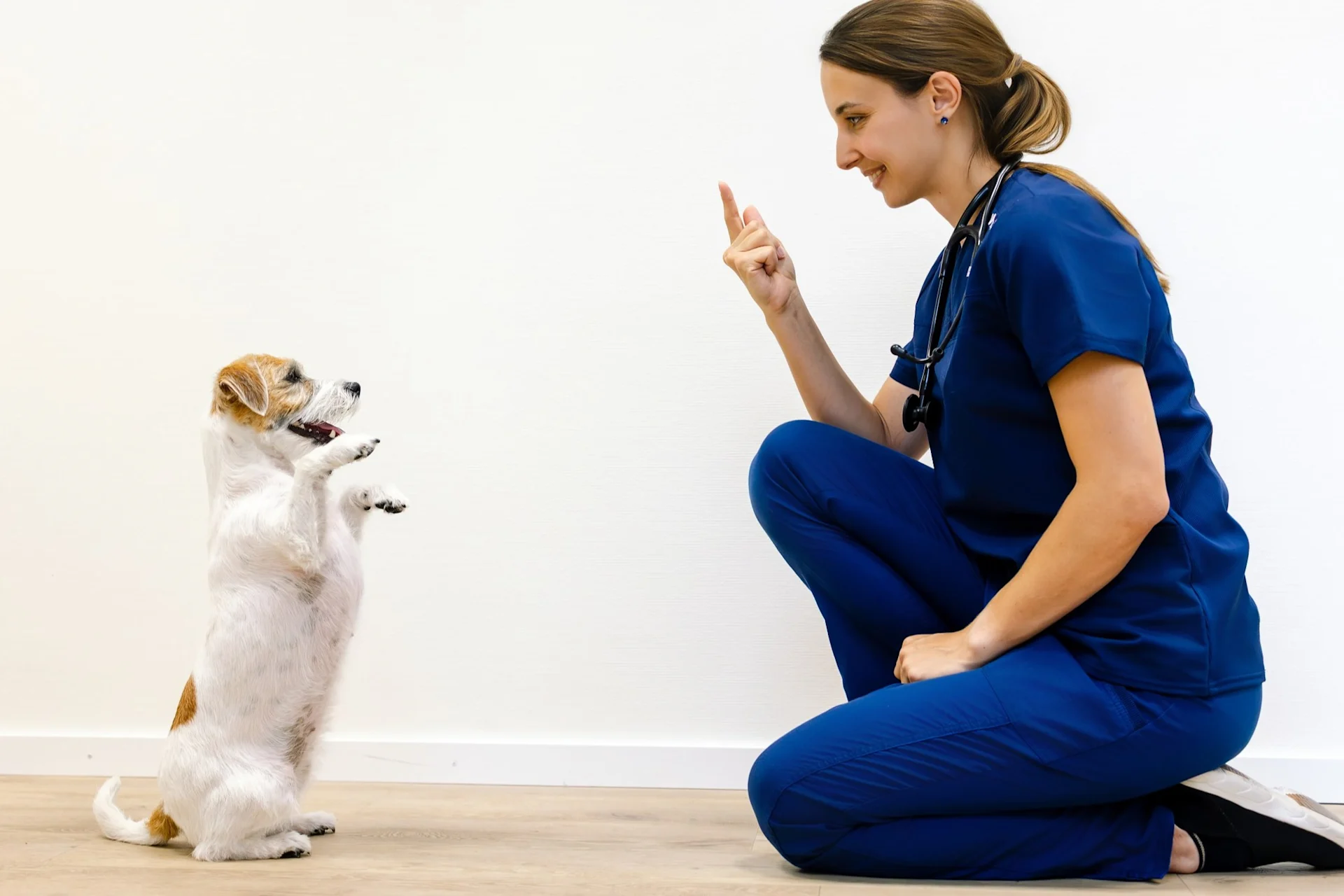 Dog and Vet