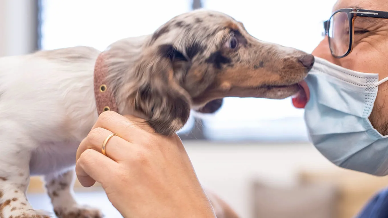Le groupe vétérinaire suisse au grand cœur.