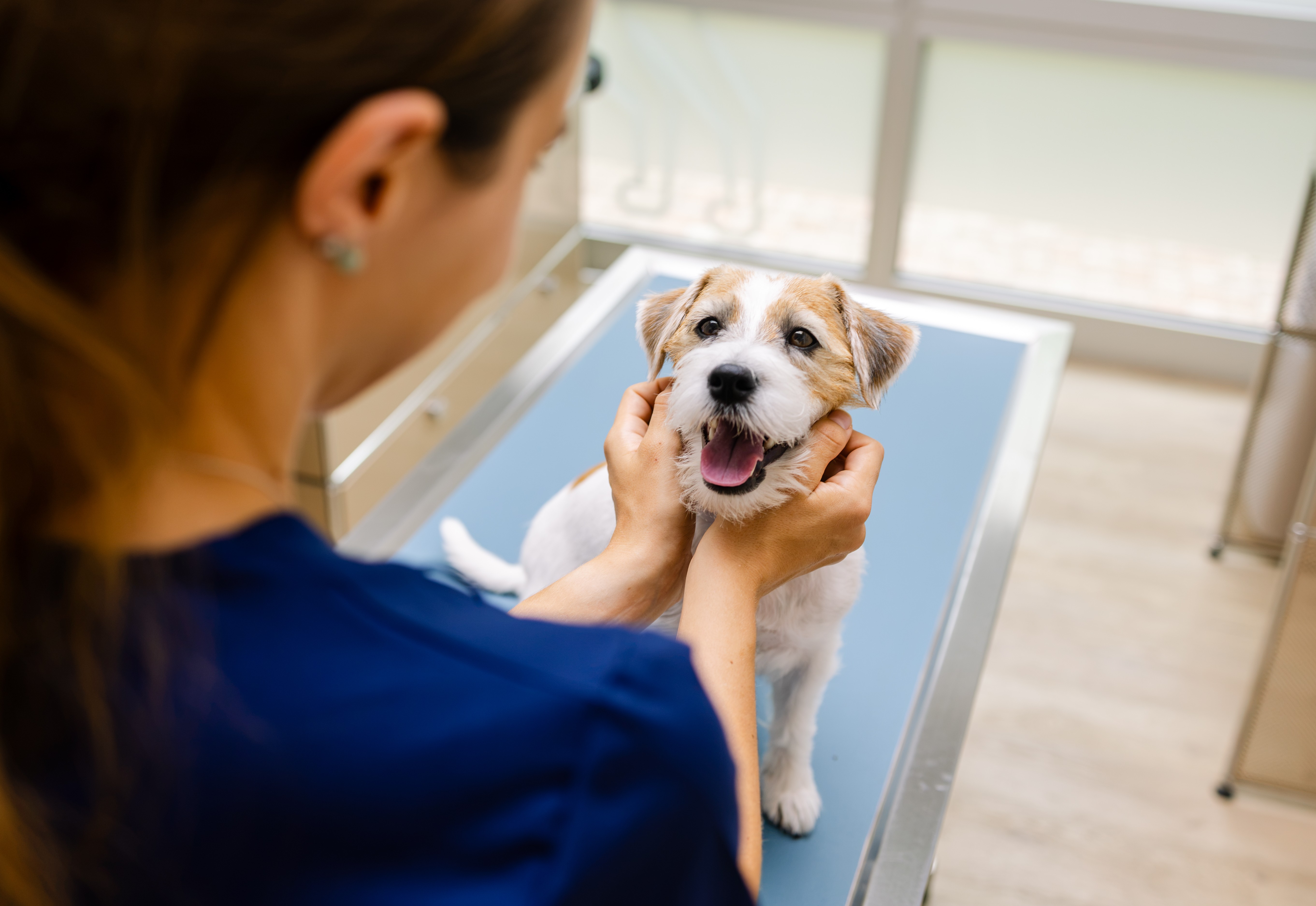 VetTrust