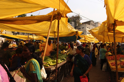 Alana Poole - India market