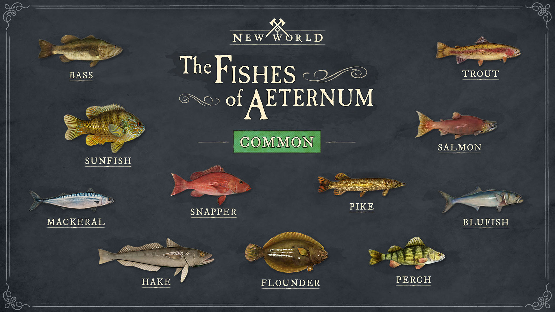 Types Of Fish: Examples Of Fish From Around The World