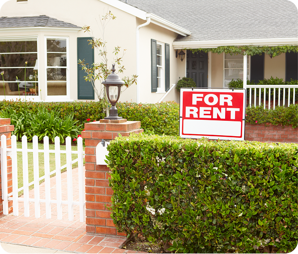 hero banner inset white