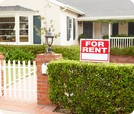 hero banner inset white