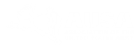 Logo for AUSA