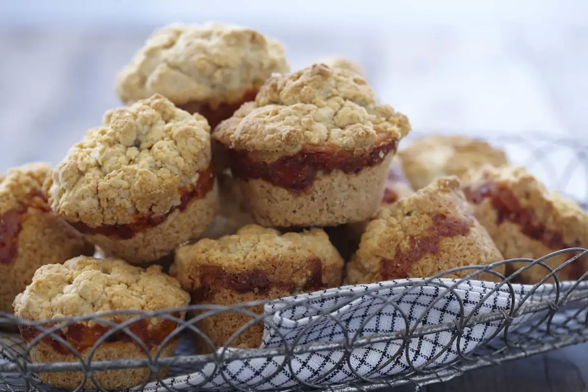 Easy Kid-Friendly Recipes for Back to School 