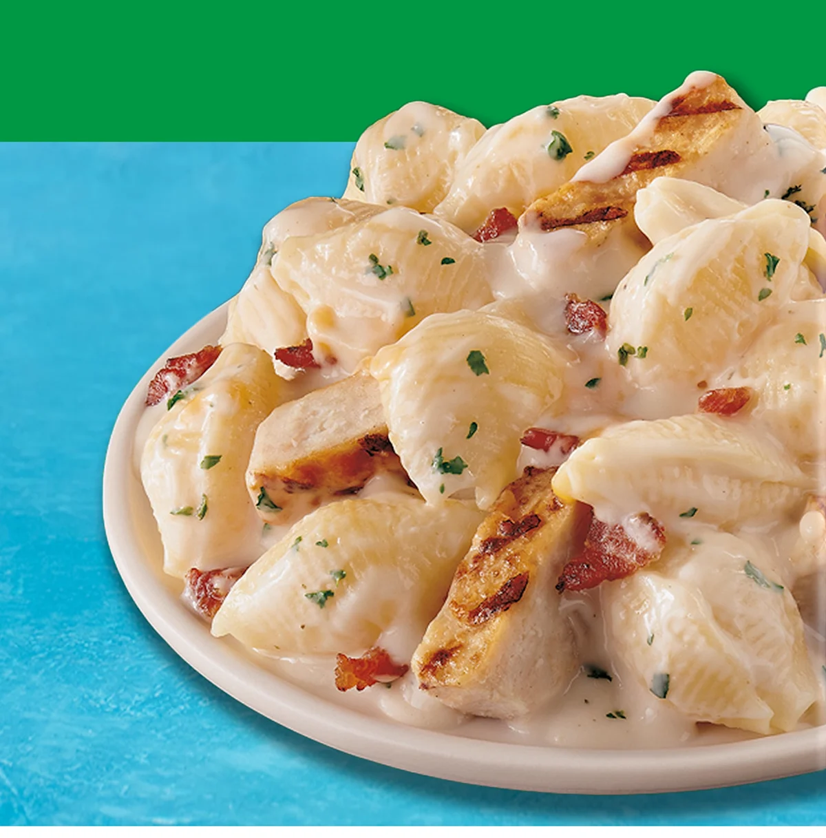 A plate of chicken bacon ranch pasta shells on a green and blue background