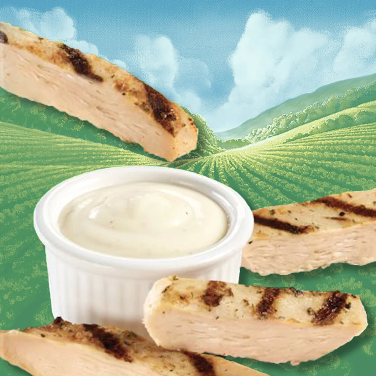 Hidden Valley Original Ranch Seasoned Chicken Dippers with Ranch Dressing with a valley and clouds in the background