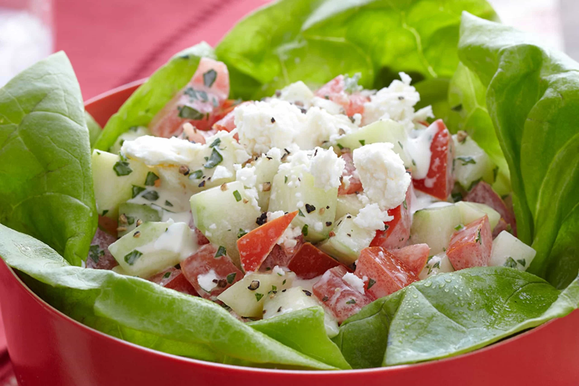 Cool Cucumber and Tomato Salad