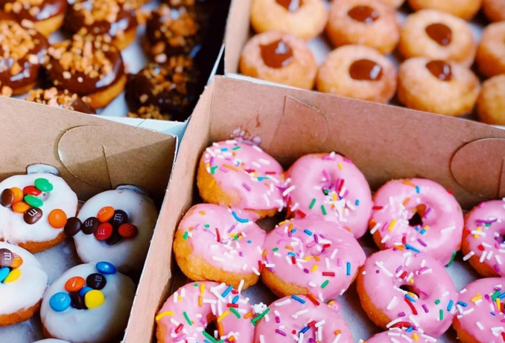 Donuts Assorted Dozen