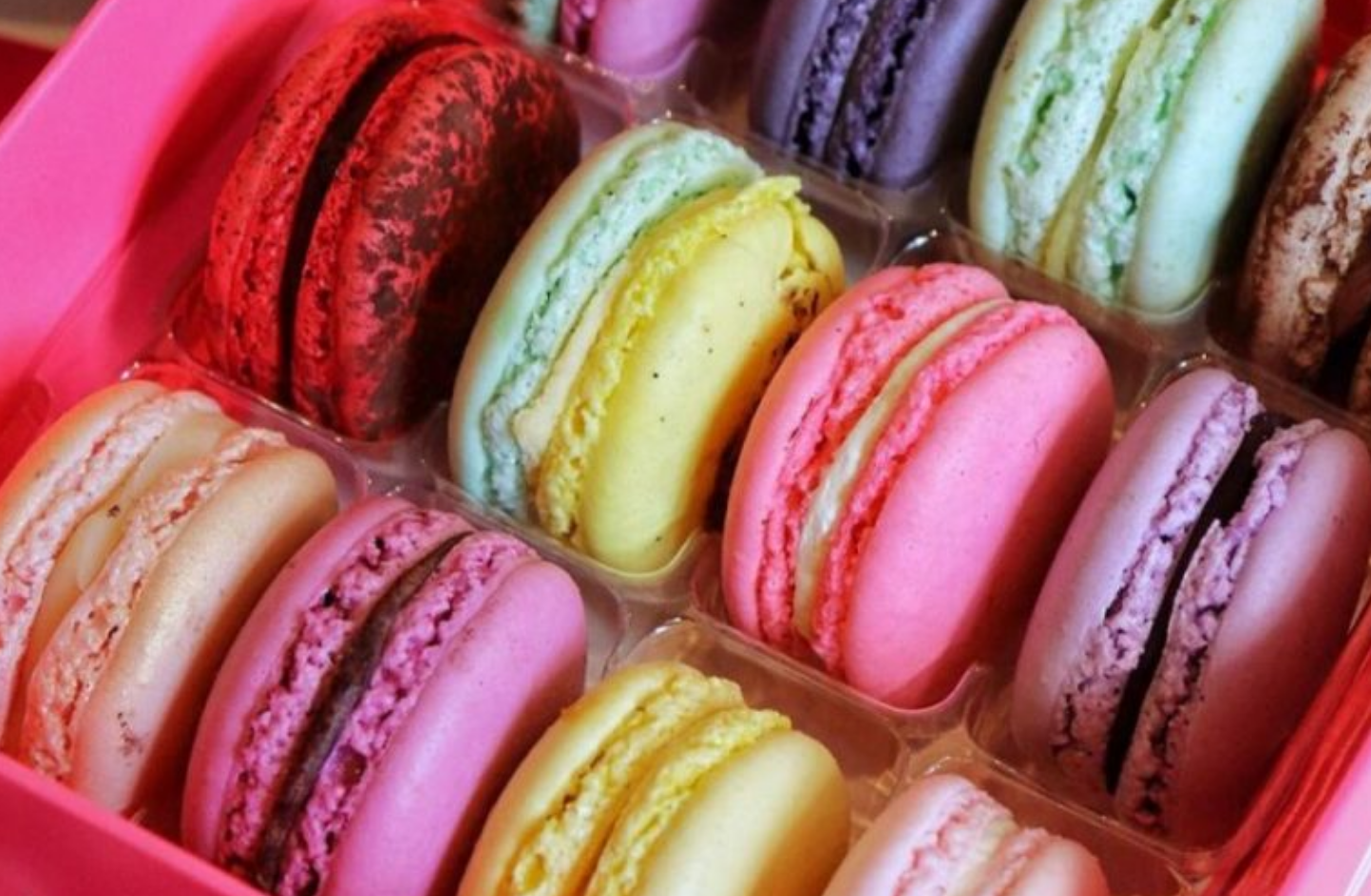 Macaroon Boxed Dozen