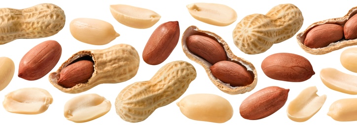 Peanut-Power-How-This-Versatile-Nut-Makes-Awesome-Candy-Redstone-Foods-Wholesale-Distributor-United-States 1832608132