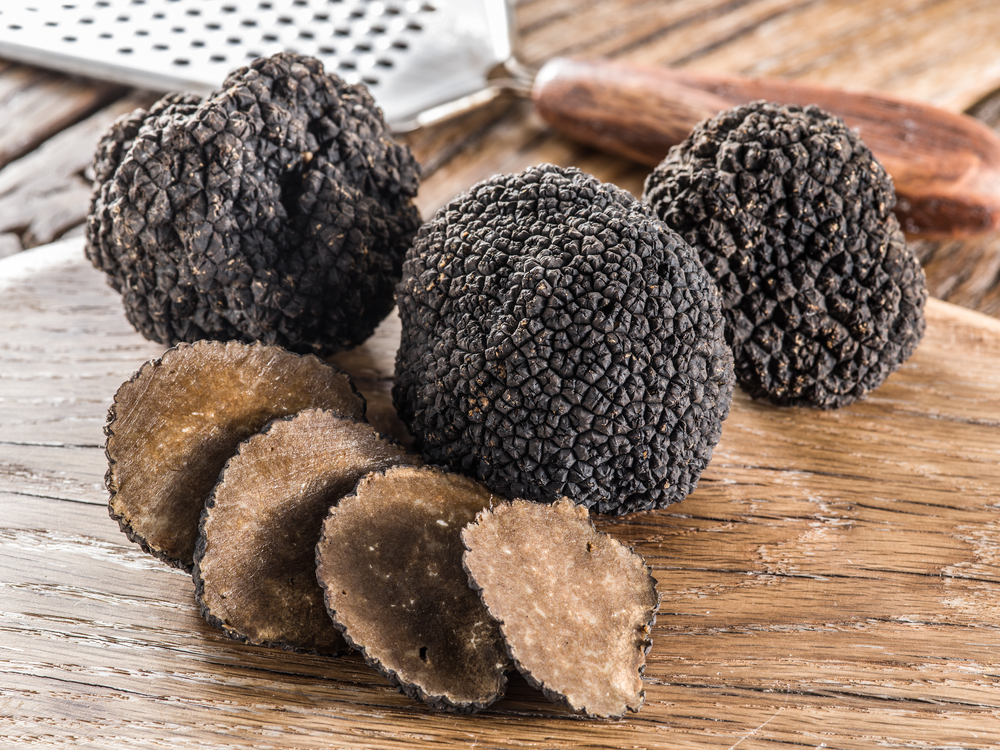 Black-Truffle-Mushroom-Tuber-melanosporum 562244335
