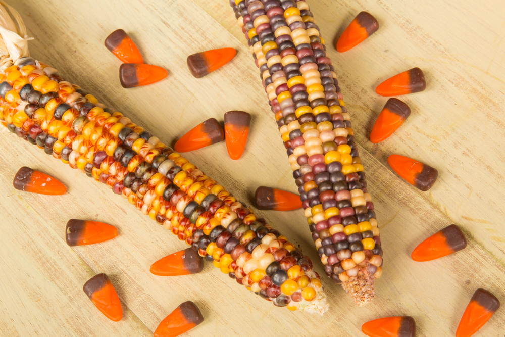 Candy-Corn-On-The-Cob-Recipe 158624255