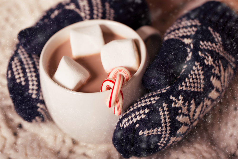 Peppermint-Candy-Cane-Hot-Cocoa-Christmas-Time 511488475