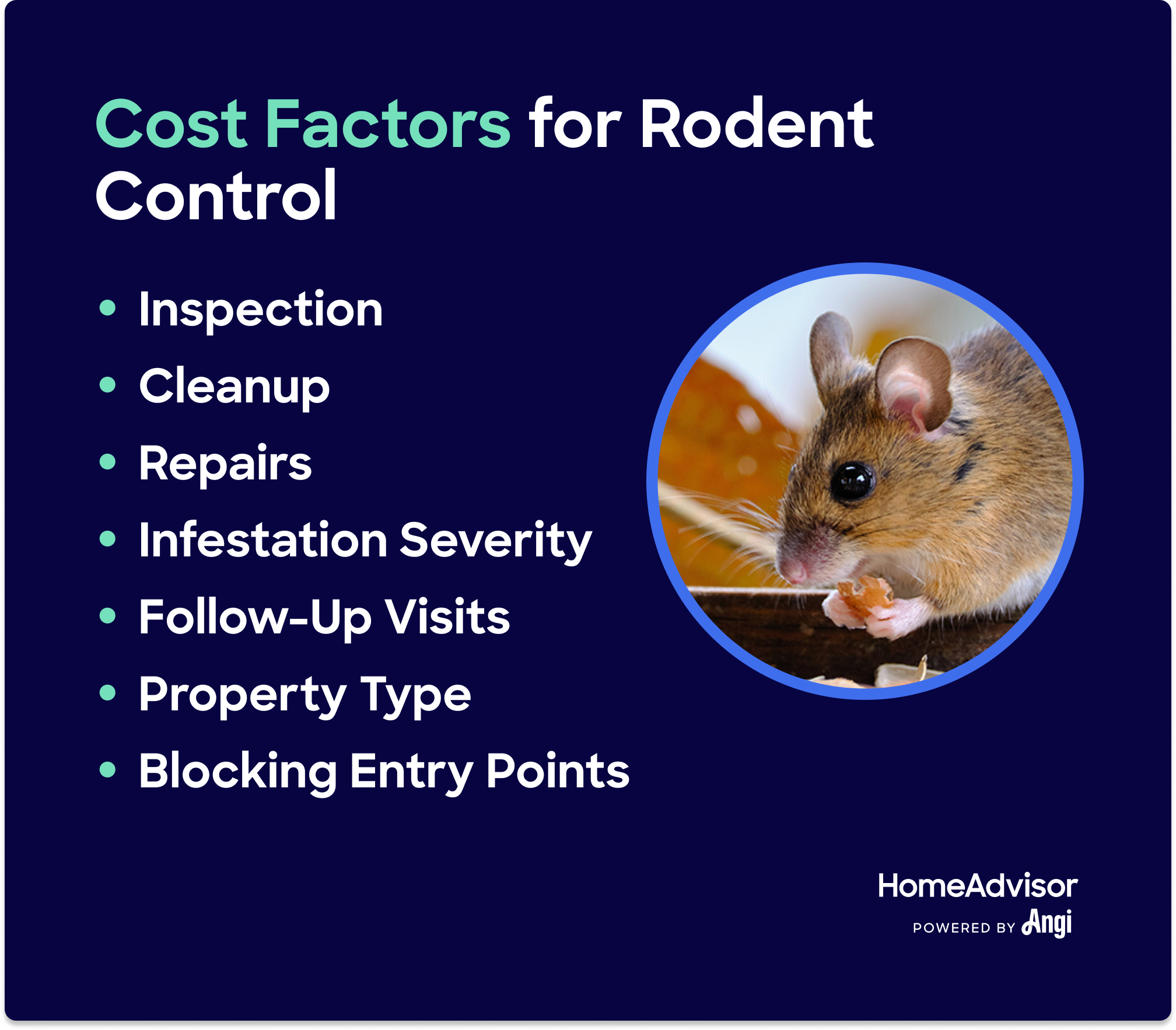 Rodent Control Las Vegas NV - Rat and Mice Exterminator