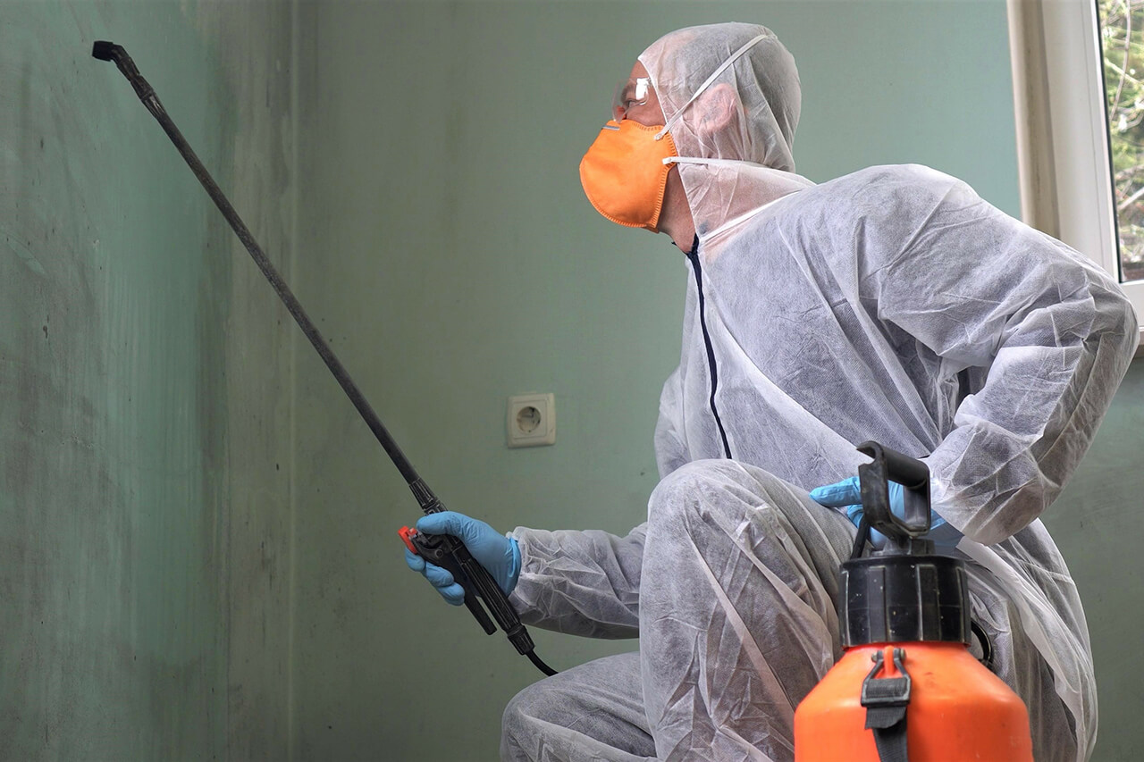 Fort Lauderdale Mold Remediation