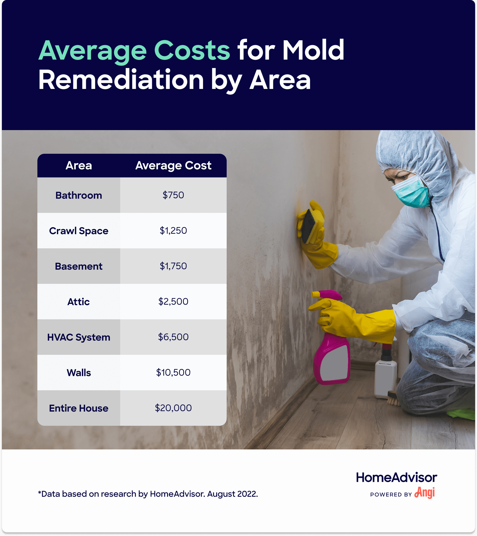 Mold Remediation Cost  Eliminating Mold in Household