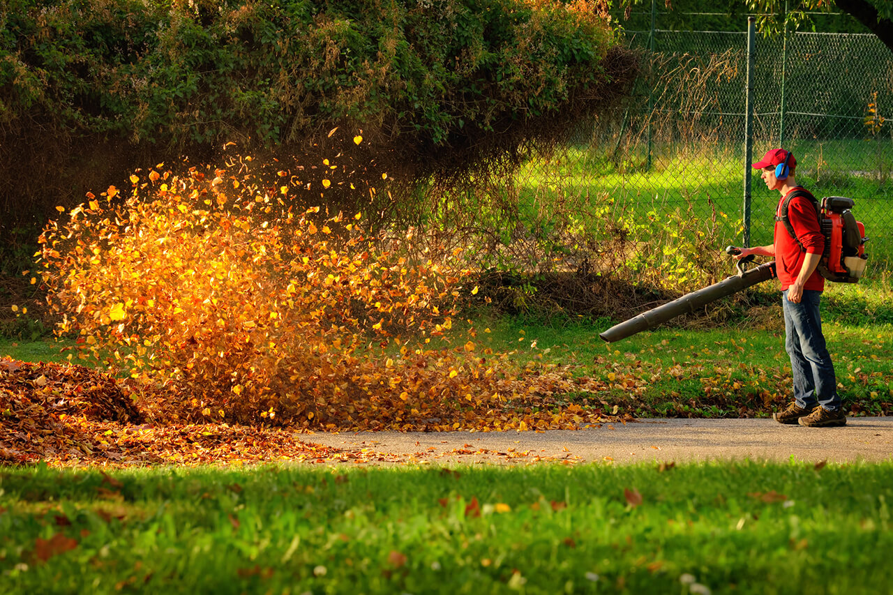 How to Dispose of Leaves, Leaf Removal Tips