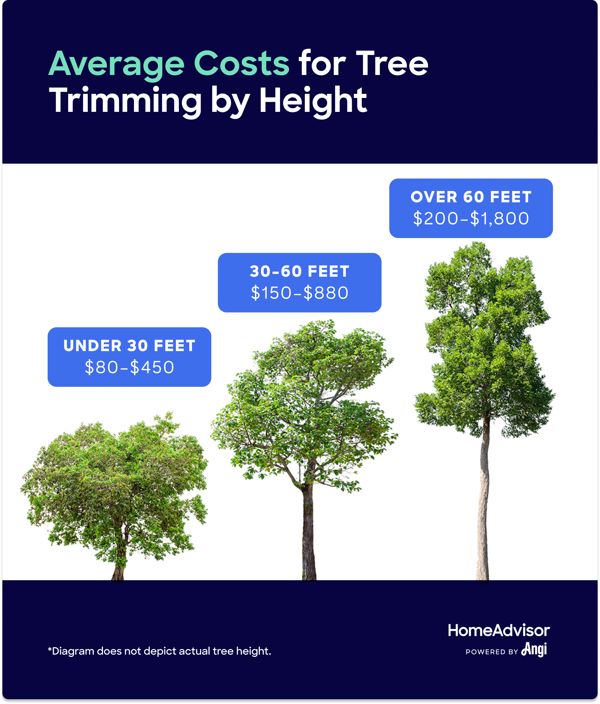 Tree Trimming