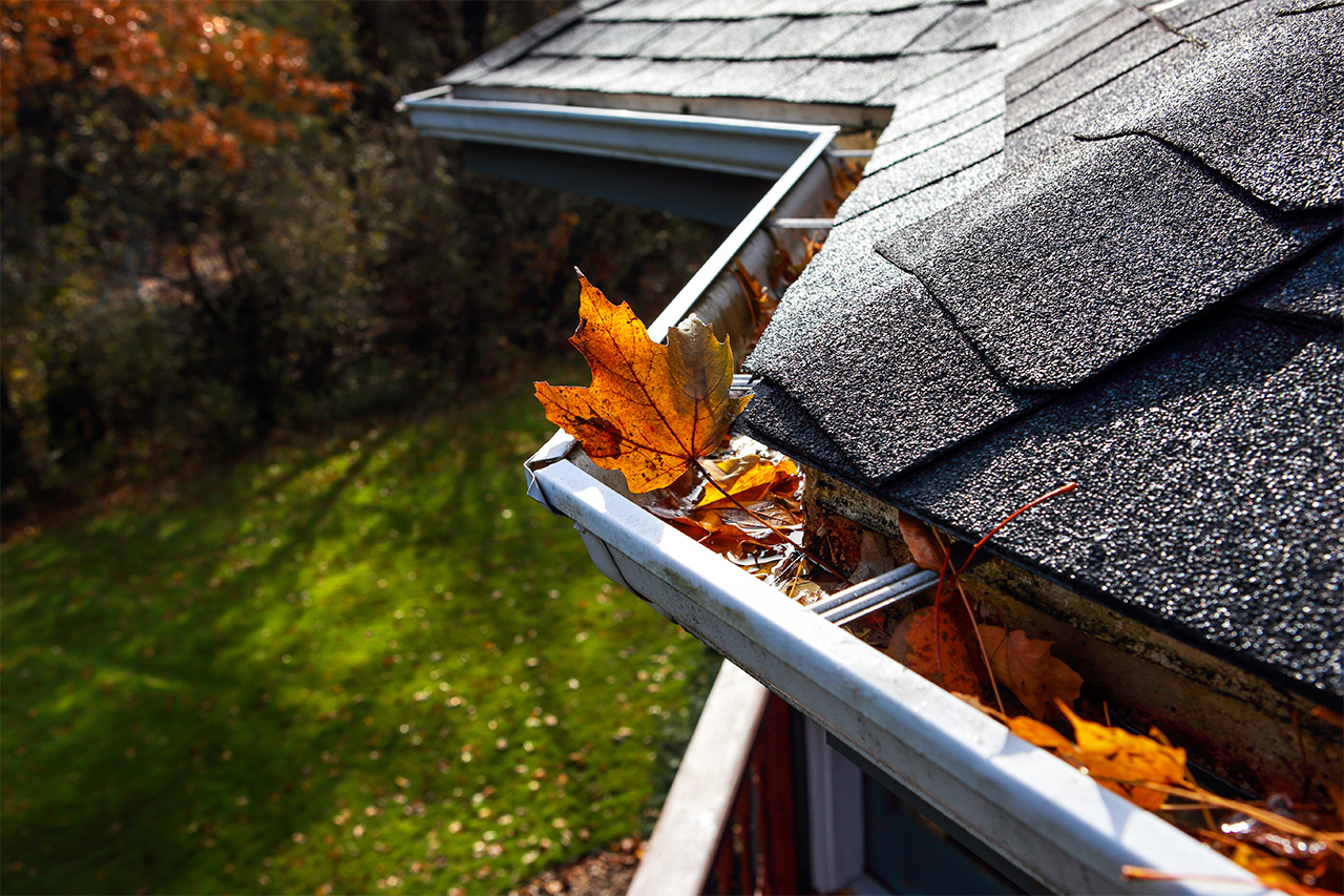 overhead shot of orange leaves in house gutter