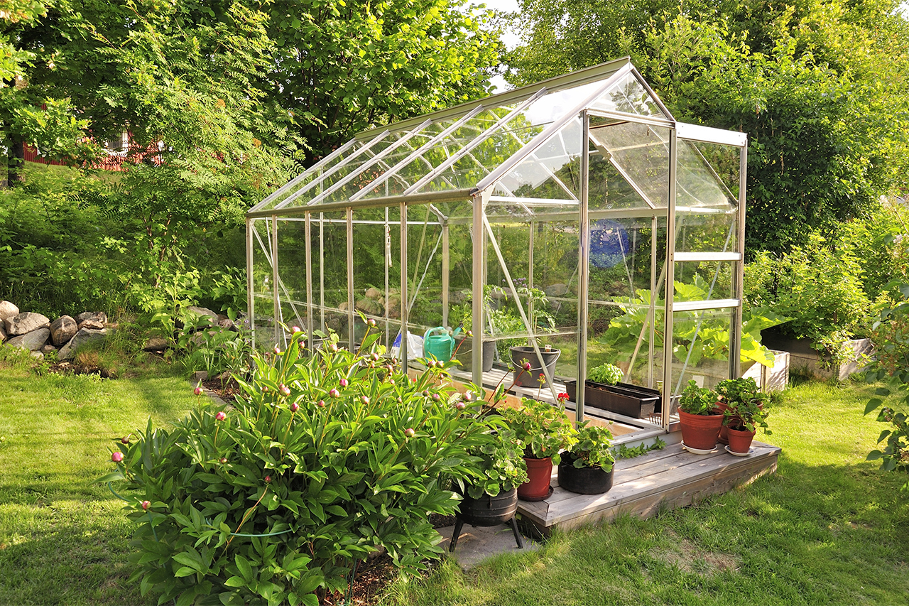 How Much Does a Greenhouse Cost?