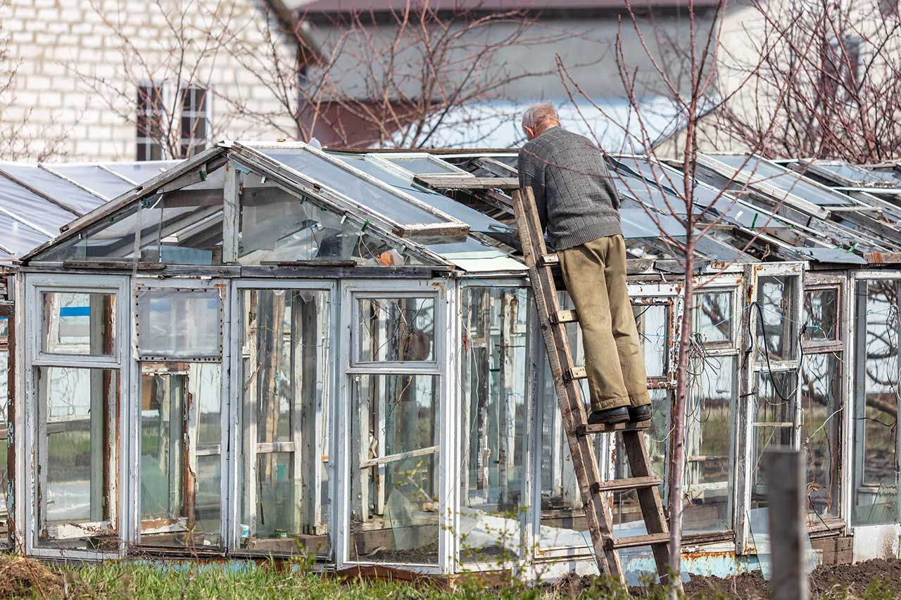 handyman on a ladder repairing the roof of a greenhouse