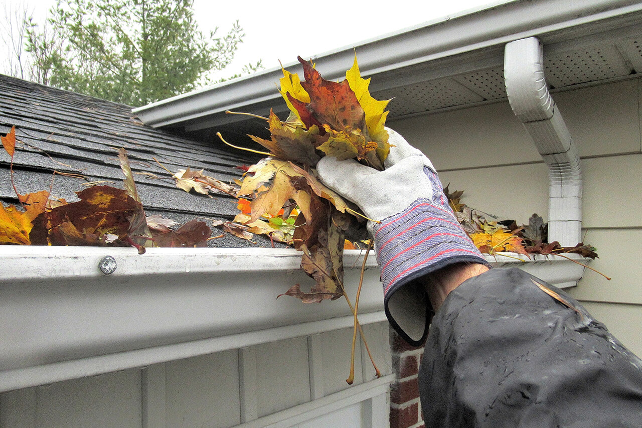 Gutter Cleaning Near Me Noblesville IN