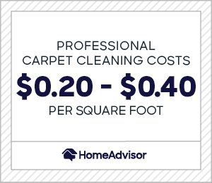 2024 Carpet Cleaning Cost