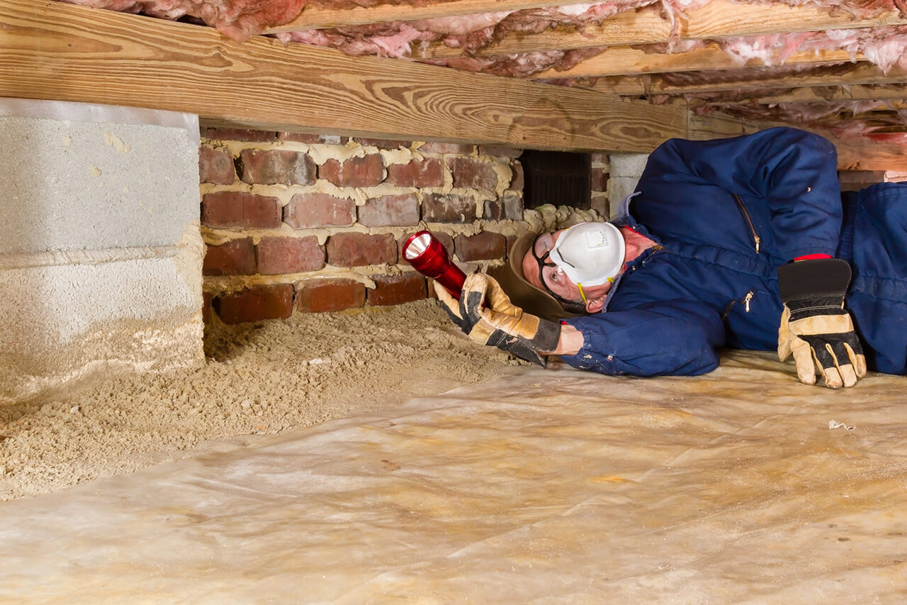 professional inspecting crawlspace of house for termites and pests