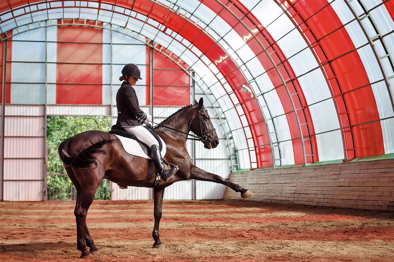 What Are Typical Indoor and Outdoor Riding Arena Prices?