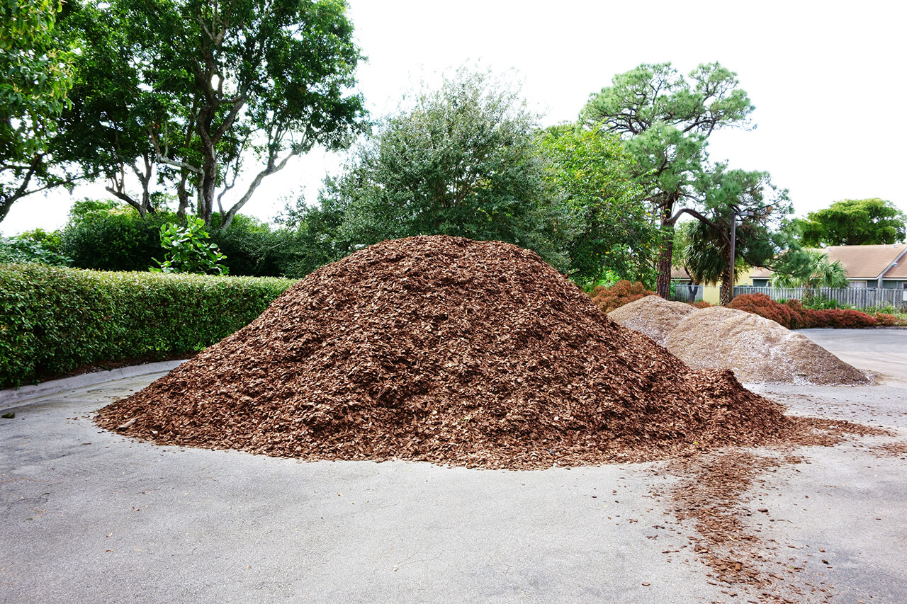 How Much It Will Cost to Mulch