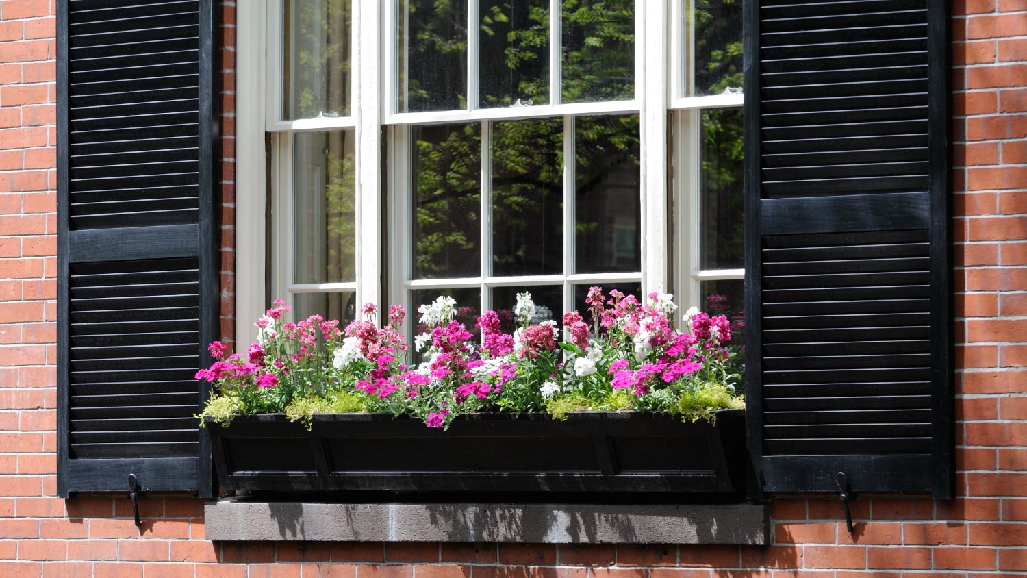 Double-hung windows