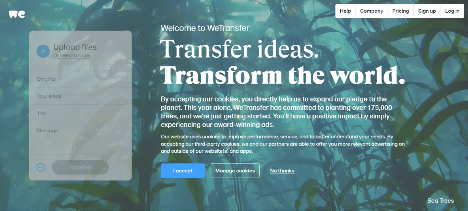 WeTransfer Sea Trees