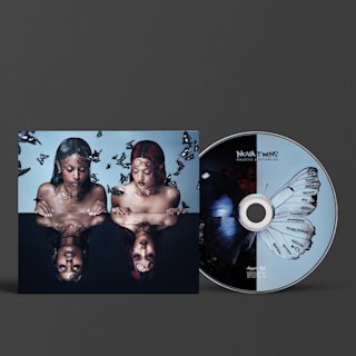 Imagen frontal del CD transparente Parasites & Butterflies de Nova Twins