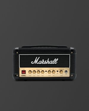 Diseño del panel frontal del cabezal DSL1 en la página Artículos de apoyo.