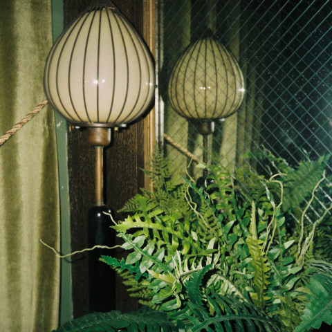 Dos lámparas vintage a rayas sobre un soporte de madera junto a exuberantes helechos verdes contra una ventana con mosquitera y cortinas oscuras.