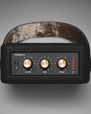 Volume, bass and treble knobs on top of the Stockwell II speaker.