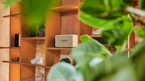 Elegante exposición de varias zapatillas y accesorios en estantes de madera, parcialmente ocultos por follaje verde, con un altavoz Marshall como centro de mesa.