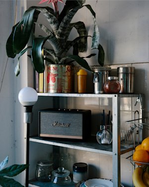 Marshall home speaker at Theresa Wayman and Yuki Tsujii´s place.