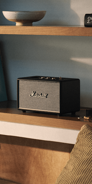 Acton III in a book shelf