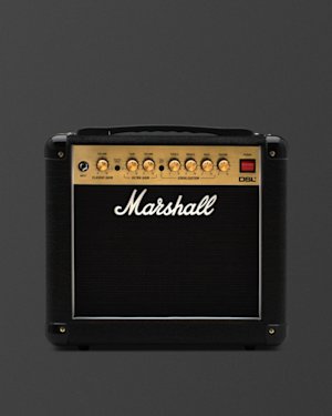 Upper part of the Marshall DSL1 Combo without background.